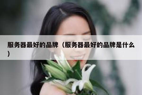 服务器最好的品牌（服务器最好的品牌是什么） 第1张