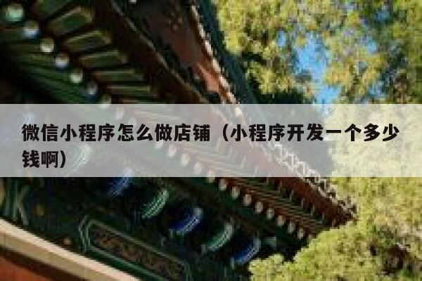 微信小程序怎么做店铺（小程序开发一个多少钱啊） 第1张