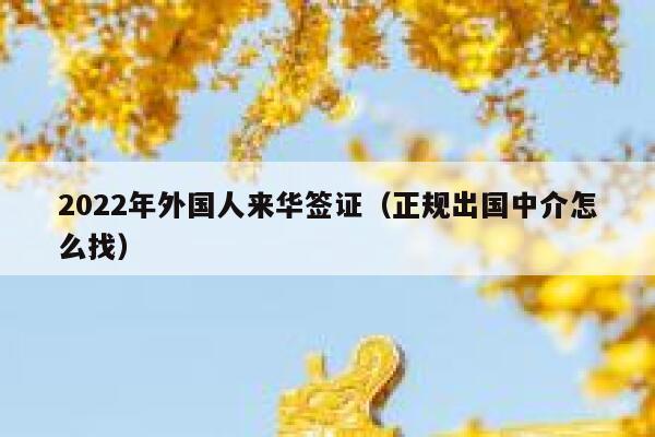 2022年外国人来华签证（正规出国中介怎么找） 第1张