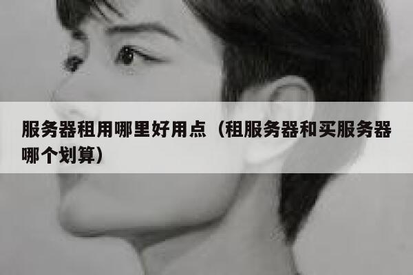 服务器租用哪里好用点（租服务器和买服务器哪个划算） 第1张