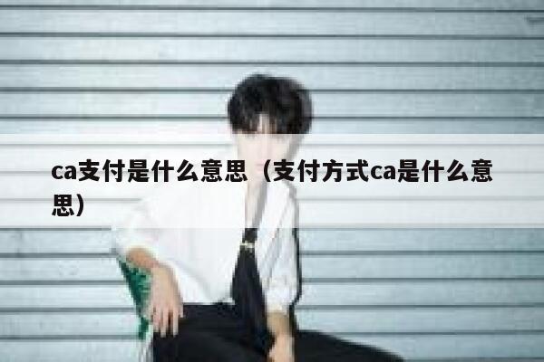 ca支付是什么意思（支付方式ca是什么意思） 第1张