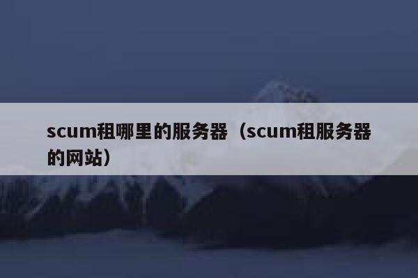scum租哪里的服务器（scum租服务器的网站） 第1张