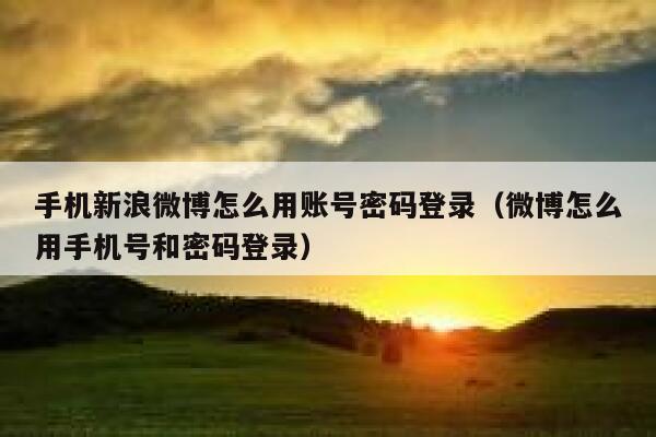 手机新浪微博怎么用账号密码登录（微博怎么用手机号和密码登录） 第1张
