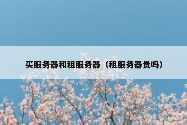 买服务器和租服务器（租服务器贵吗） 第1张