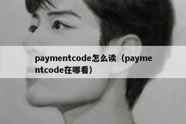 paymentcode怎么读（paymentcode在哪看） 第1张