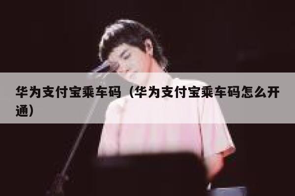华为支付宝乘车码（华为支付宝乘车码怎么开通） 第1张
