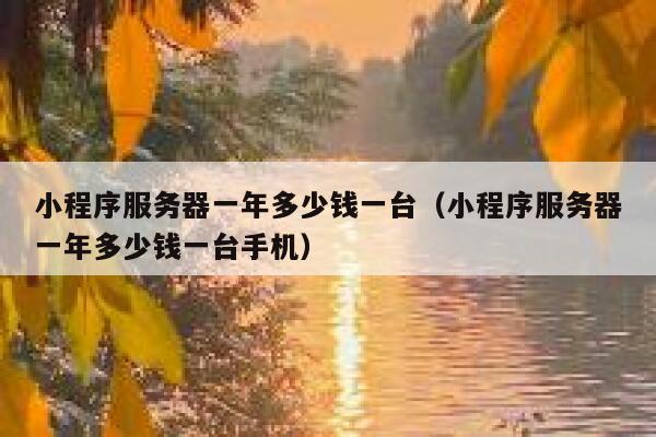 小程序服务器一年多少钱一台（小程序服务器一年多少钱一台手机） 第1张