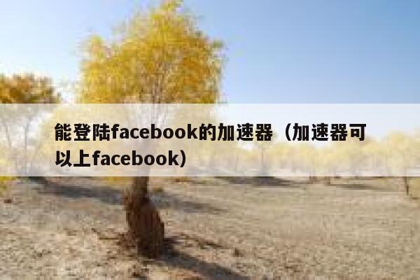 能登陆facebook的加速器（加速器可以上facebook） 第1张