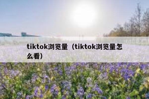 tiktok浏览量(tiktok浏览量怎么看) 第1张 tiktok浏览量(tiktok浏览量怎么看) 第1张