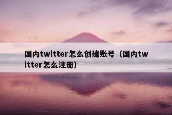 国内twitter怎么创建账号（国内twitter怎么注册） 第1张