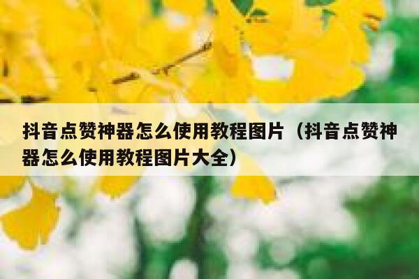 抖音点赞神器怎么使用教程图片（抖音点赞神器怎么使用教程图片大全） 第1张