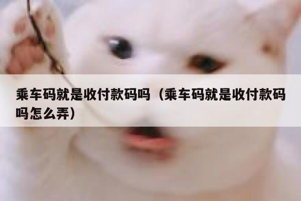 乘车码就是收付款码吗（乘车码就是收付款码吗怎么弄） 第1张