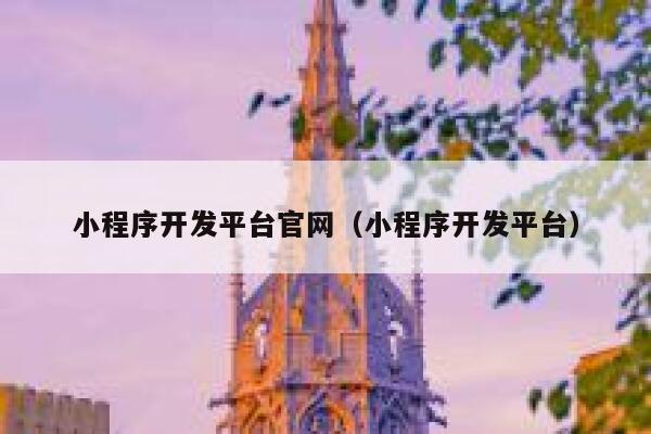 小程序开发平台官网（小程序开发平台） 第1张