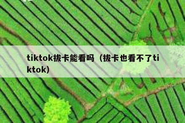 tiktok拔卡能看吗（拔卡也看不了tiktok） 第1张