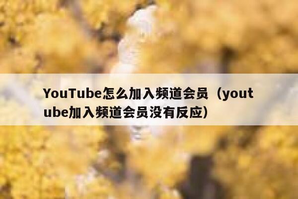 YouTube怎么加入频道会员（youtube加入频道会员没有反应） 第1张