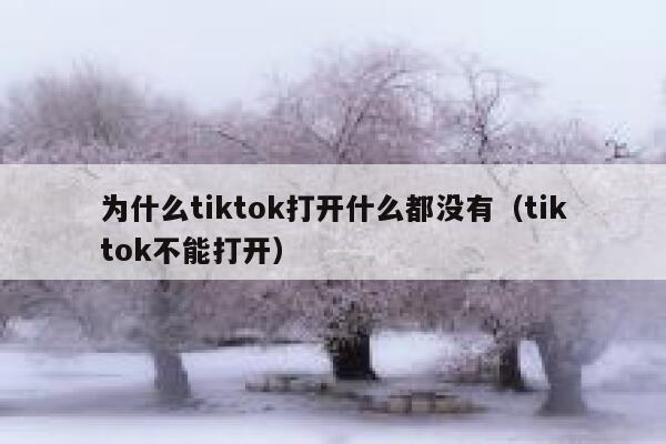 为什么tiktok打开什么都没有（tiktok不能打开） 第1张