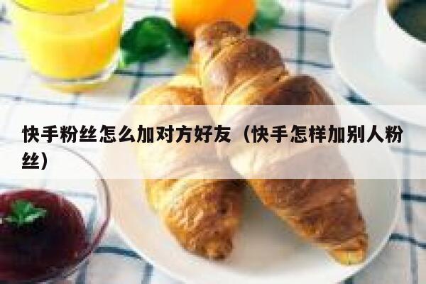 快手粉丝怎么加对方好友（快手怎样加别人粉丝） 第1张