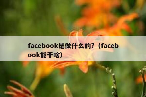 facebook是做什么的?（facebook能干啥） 第1张