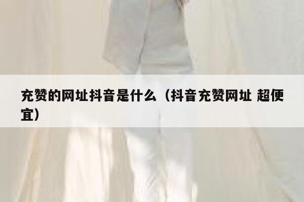 充赞的网址抖音是什么（抖音充赞网址 超便宜） 第1张