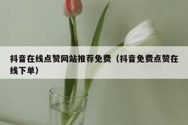 抖音在线点赞网站推荐免费（抖音免费点赞在线下单） 第1张