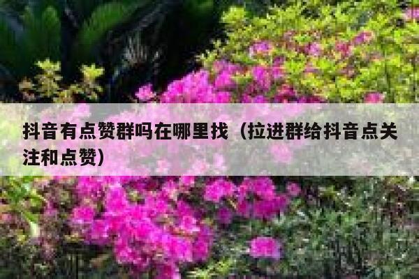 抖音有点赞群吗在哪里找（拉进群给抖音点关注和点赞） 第1张