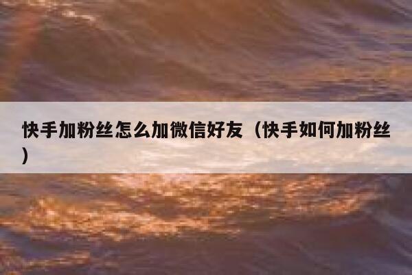 快手加粉丝怎么加微信好友(快手如何加粉丝) 第1张 快手加粉丝怎么加微信好友(快手如何加粉丝) 第1张