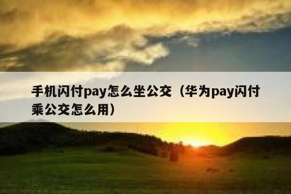 手机闪付pay怎么坐公交(华为pay闪付乘公交怎么用) 第1张 手机闪付pay怎么坐公交(华为pay闪付乘公交怎么用) 第1张