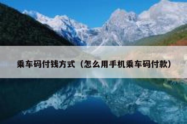 乘车码付钱方式(怎么用手机乘车码付款) 第1张 乘车码付钱方式(怎么用手机乘车码付款) 第1张