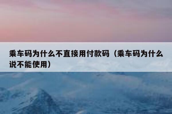 乘车码为什么不直接用付款码(乘车码为什么说不能使用) 第1张 乘车码为什么不直接用付款码(乘车码为什么说不能使用) 第1张