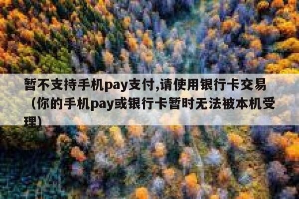 暂不支持手机pay支付,请使用银行卡交易（你的手机pay或银行卡暂时无法被本机受理） 第1张