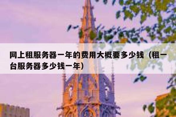 网上租服务器一年的费用大概要多少钱（租一台服务器多少钱一年） 第1张