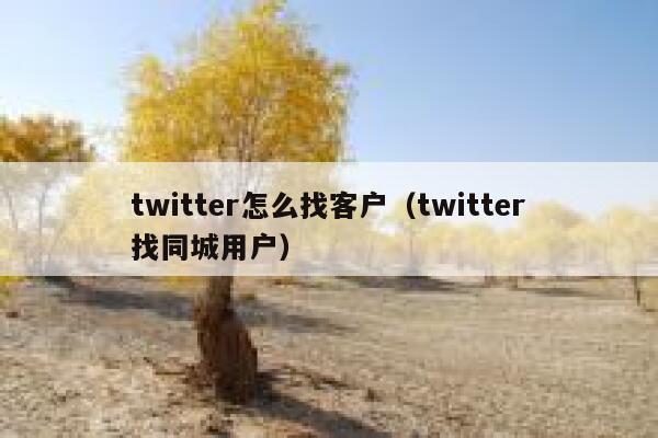 twitter怎么找客户（twitter找同城用户） 第1张