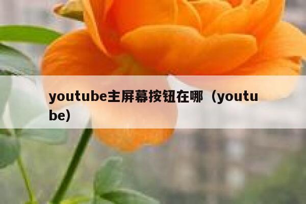 youtube主屏幕按钮在哪（youtube） 第1张