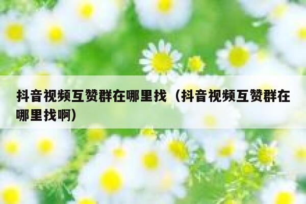 抖音视频互赞群在哪里找（抖音视频互赞群在哪里找啊） 第1张