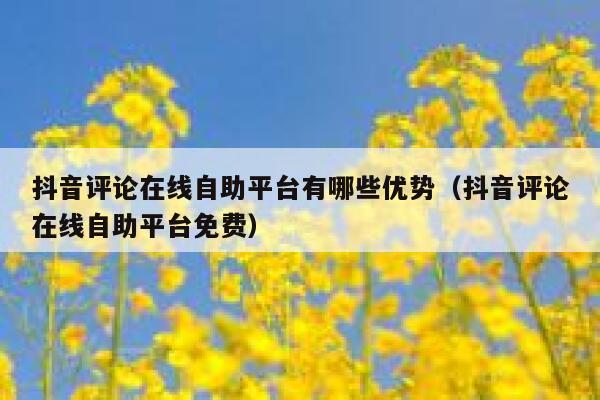 抖音评论在线自助平台有哪些优势（抖音评论在线自助平台免费） 第1张