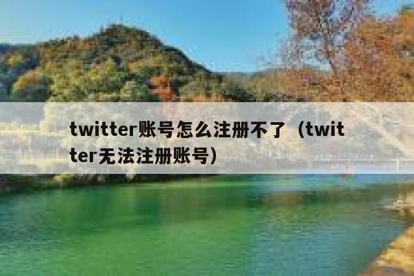 twitter账号怎么注册不了（twitter无法注册账号） 第1张