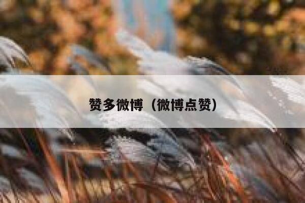 赞多微博（微博点赞） 第1张