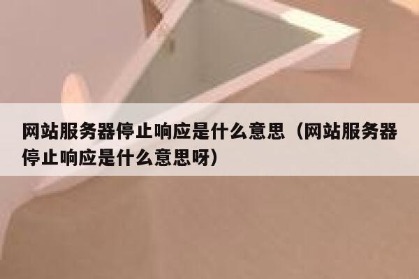 网站服务器停止响应是什么意思（网站服务器停止响应是什么意思呀） 第1张