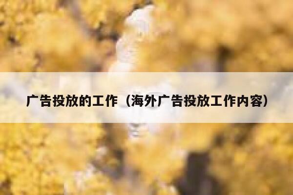 广告投放的工作（海外广告投放工作内容） 第1张