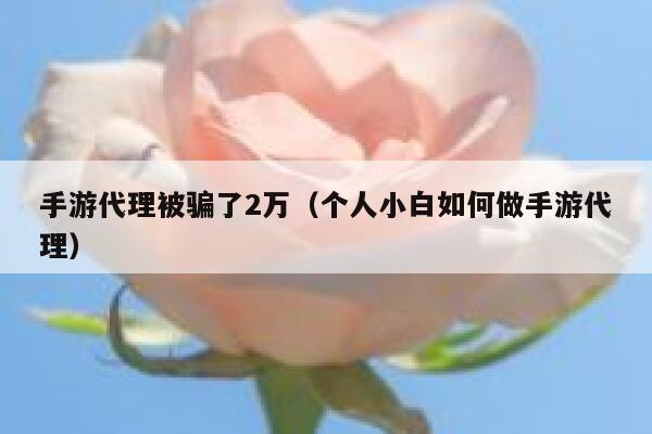 手游代理被骗了2万（个人小白如何做手游代理） 第1张