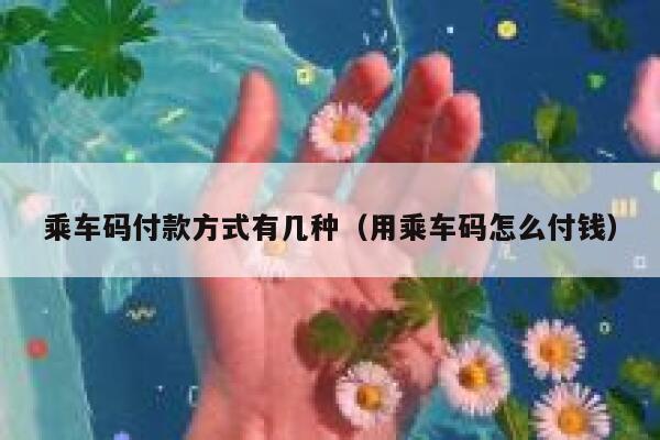 乘车码付款方式有几种（用乘车码怎么付钱） 第1张