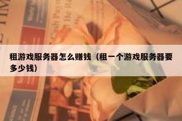 租游戏服务器怎么赚钱（租一个游戏服务器要多少钱） 第1张