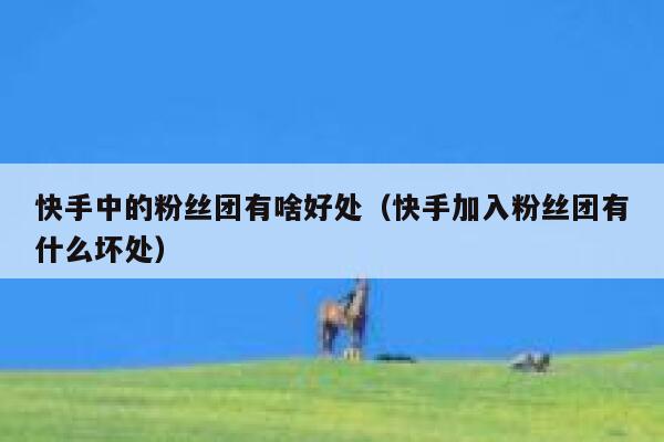 快手中的粉丝团有啥好处（快手加入粉丝团有什么坏处） 第1张
