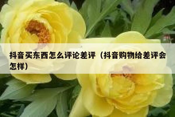 抖音买东西怎么评论差评（抖音购物给差评会怎样） 第1张