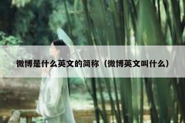 微博是什么英文的简称（微博英文叫什么） 第1张