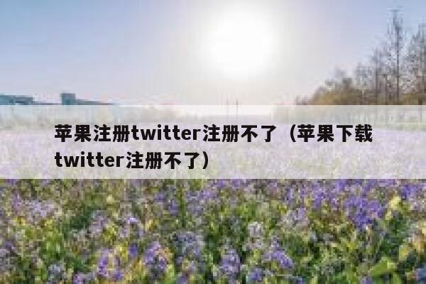 苹果注册twitter注册不了（苹果下载twitter注册不了） 第1张