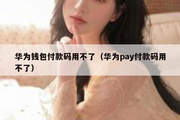 华为钱包付款码用不了（华为pay付款码用不了） 第1张