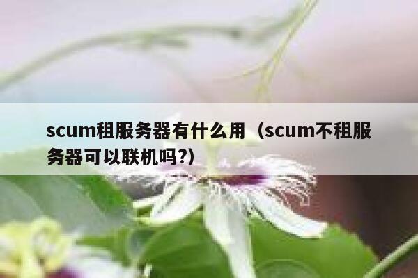 scum租服务器有什么用（scum不租服务器可以联机吗?） 第1张
