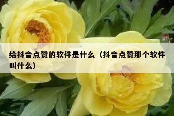 给抖音点赞的软件是什么（抖音点赞那个软件叫什么） 第1张
