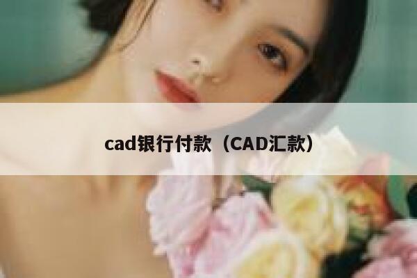 cad银行付款（CAD汇款） 第1张